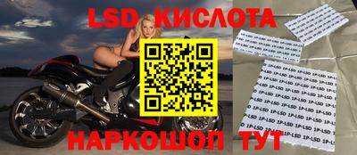 jwh Камышлов