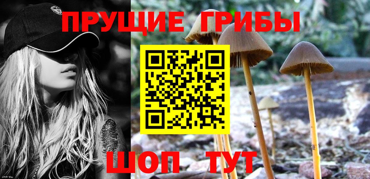 Красногорск  Псилоцибиновые грибы GOLDEN TEACHER  Вход с VPN  Галлюциногенные грибы мицелий 