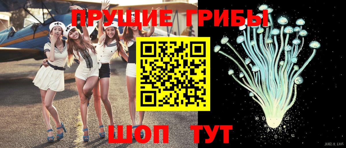 Галлюциногенные грибы Cubensis Красногорск